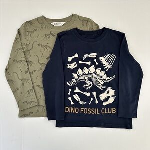 H&M Graphic Dino Long sleeve Shirts 2pack 5t/6